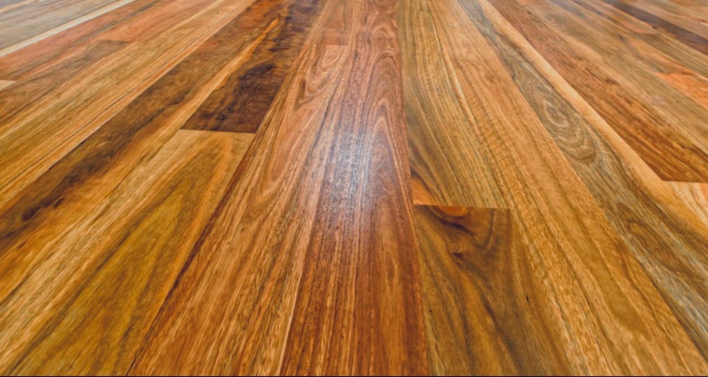 Spotted Gum Perth VCS
